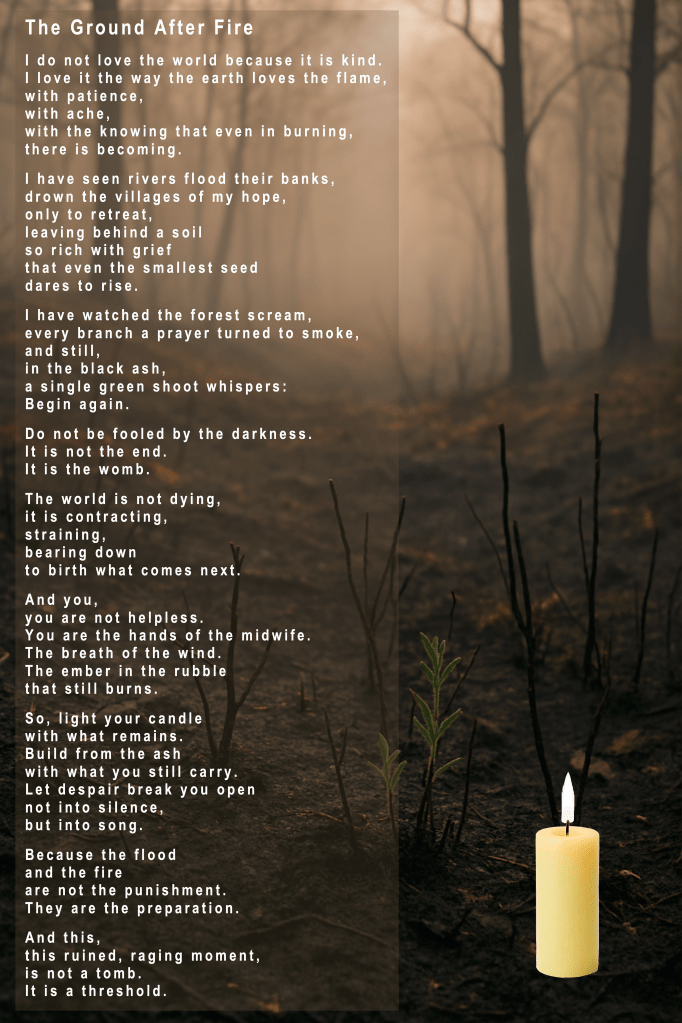 The Ground After Fire