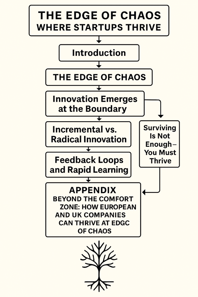 Edge of Chaos at Tech Startup Flowchart